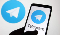 我如何联系 Telegram 支持？