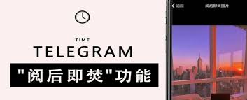 _阅后即焚短信_telegram阅后即焚